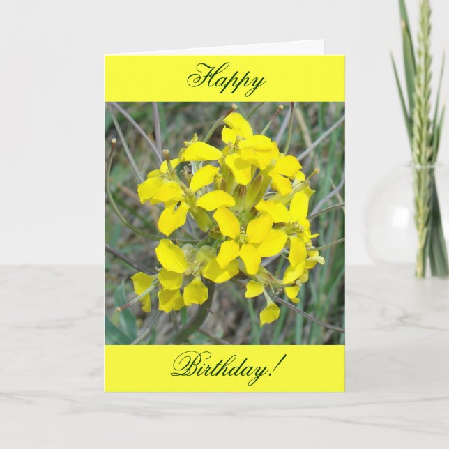 F14 Yellow Wildflowers Card (Front)