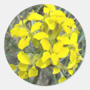 F14 Yellow Wildflowers Classic Round Sticker
