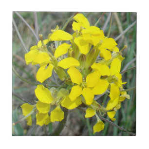 F14 Yellow Wildflowers Tile