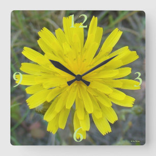 F16 Yellow Wildflower King devil Square Wall Clock