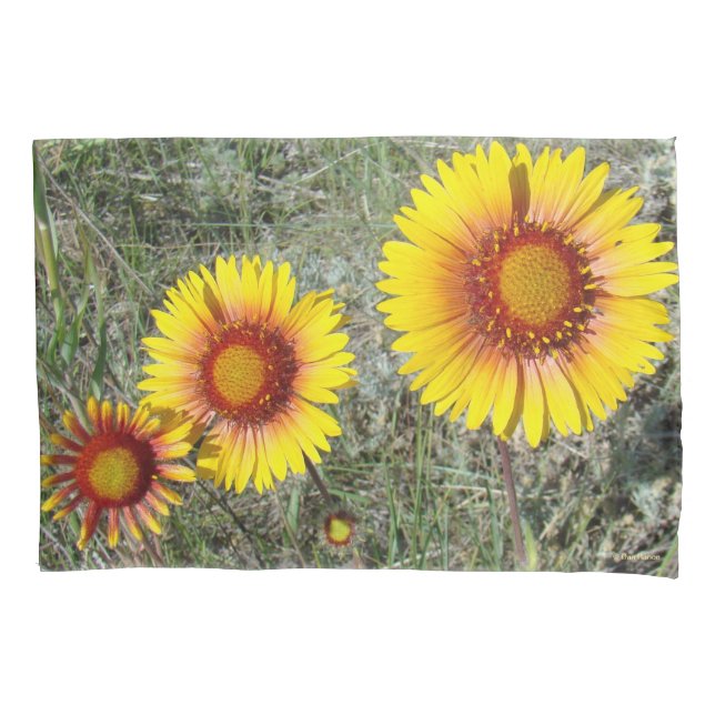F17 Yellow Wildflowers Gaillardia Pillowcase (Front)