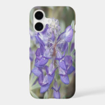 F18 Purple Wildflower Annual Lupine