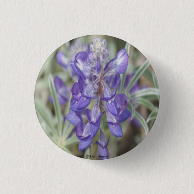 F18 Purple Wildflowers Annual Lupine 3 Cm Round Badge (Front)