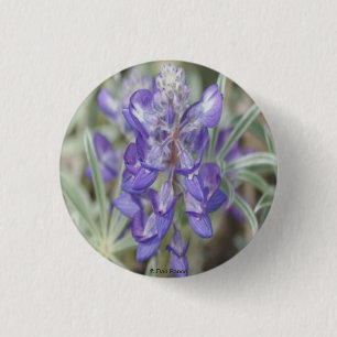 F18 Purple Wildflowers Annual Lupine 3 Cm Round Badge