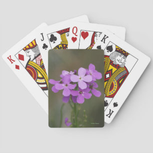 F19 Purple Wildflowers Dames Rocket Playing Cards
