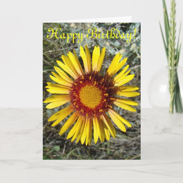 F1 Yellow Wildflower Gaillardia Card (Front)