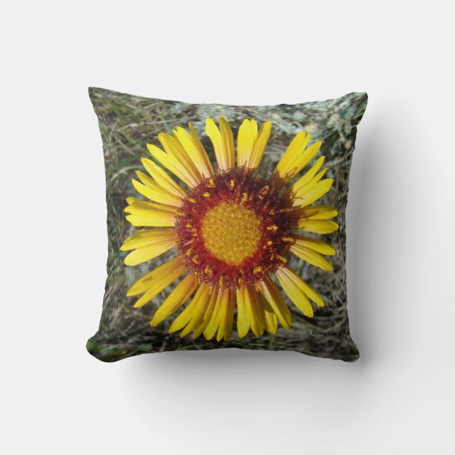 F1 Yellow Wildflower Gaillardia Cushion (Front)