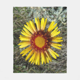 F1 Yellow Wildflower Gaillardia Fleece Blanket