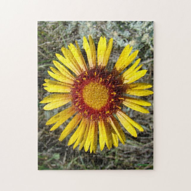 F1 Yellow Wildflower Gaillardia Jigsaw Puzzle (Vertical)