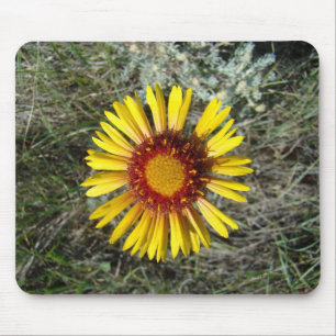F1 Yellow Wildflower Gaillardia Mouse Pad