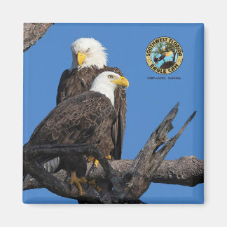 F23 & M15- A New Era in the Nest  Magnet