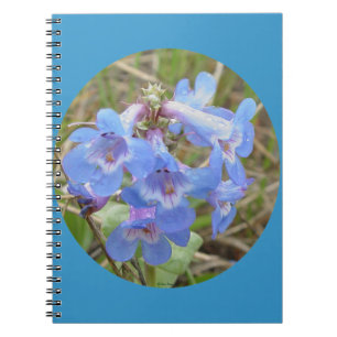 F28 Blue Wildflowers Slender Blue Bearedtongue Notebook
