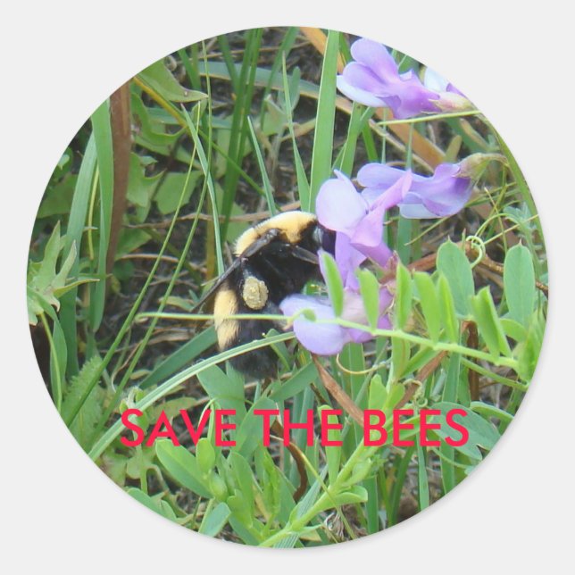 F2 Bee on purple Wildflower Classic Round Sticker (Front)