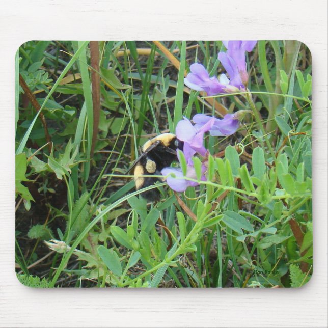 F2 Bee on Purple Wildflowers Mouse Pad (Front)