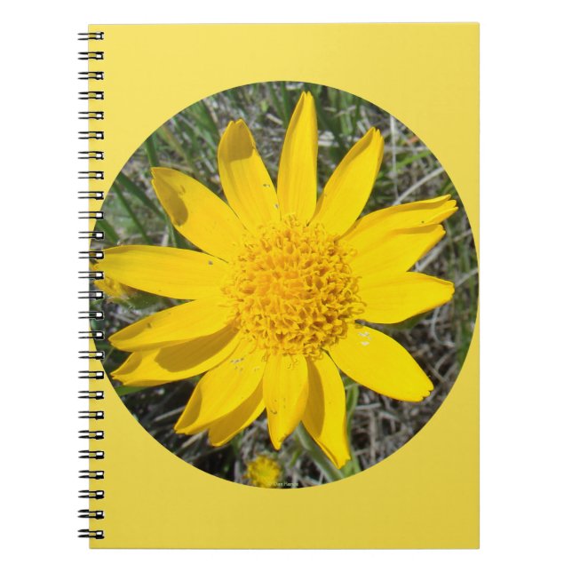 F36wma Yellow Wildflowers Sneezeweed Notebook (Front)