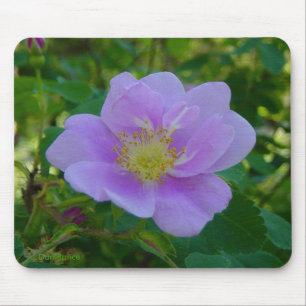 F37 Wild Rose Mouse Pad