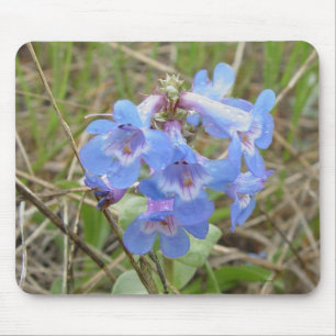F3 Blue Wildflowers Slender Blue Beardtongue Mouse Pad