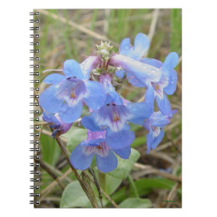 F3 Blue Wildflowers Slender Blue Beardtongue Notebook