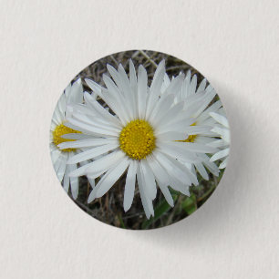 F42 White Wildflowers Smooth Aster 3 Cm Round Badge