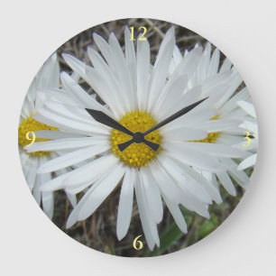 F42 White Wildflowers Smooth Aster Large Clock