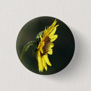 F43 Yellow Wildflower Black-eyed Susan 3 Cm Round Badge