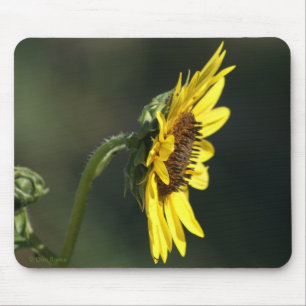 F43 Yellow Wildflower Black-eyed Susan Mouse Pad