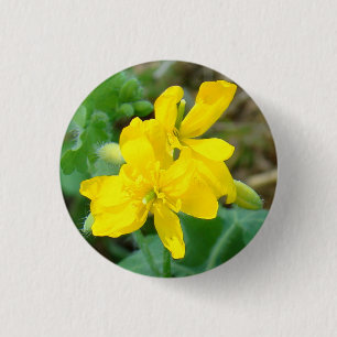 F44 Yellow Wildflowers Wild Mustard 3 Cm Round Badge