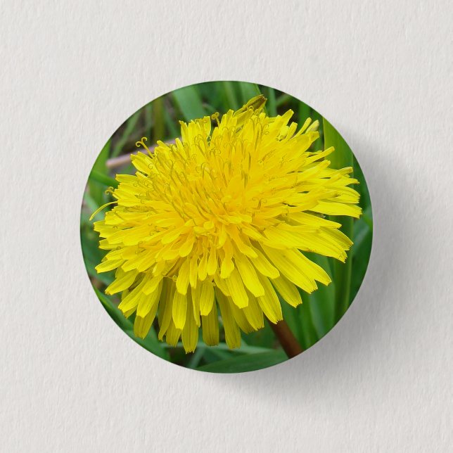 F45 Dandelion "Taraxacum officinale" 3 Cm Round Badge (Front)