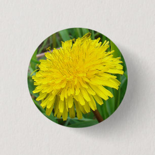 F45 Dandelion "Taraxacum officinale" 3 Cm Round Badge