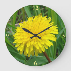 F45 Dandelion "Taraxacum officinale" Large Clock