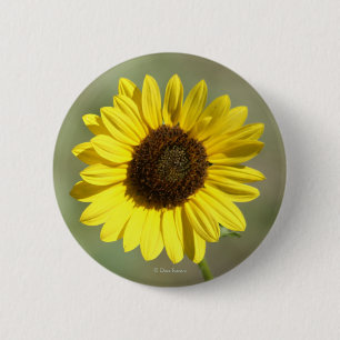 F47 Yellow Wildflower Common Annual Sunflower 6 Cm Round Badge