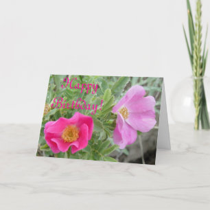 F4 Wild Roses Card