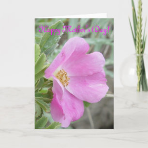 F4b Wild Rose Card