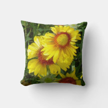 F6 Yellow Wildflowers Gaillardia