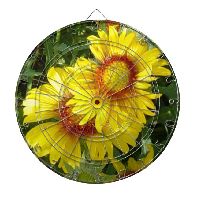 F6 Yellow Wildflowers Gaillardia Dartboard (Front)