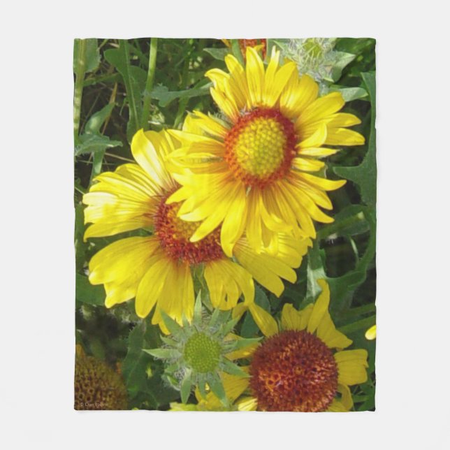 F6 Yellow Wildflowers Gaillardia Fleece Blanket (Front)