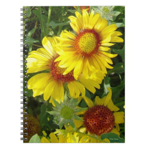 F6 Yellow Wildflowers Gaillardia Notebook