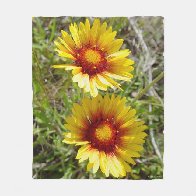F8 Yellow Wildflowers Gaillardia Fleece Blanket (Front)