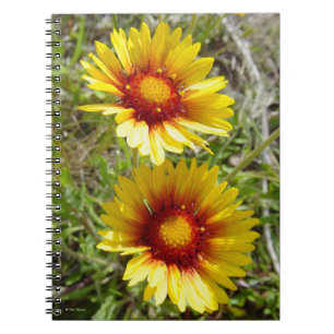 F8 Yellow Wildflowers Gaillardia Notebook