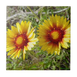 F8 Yellow Wildflowers Gaillardia Tile