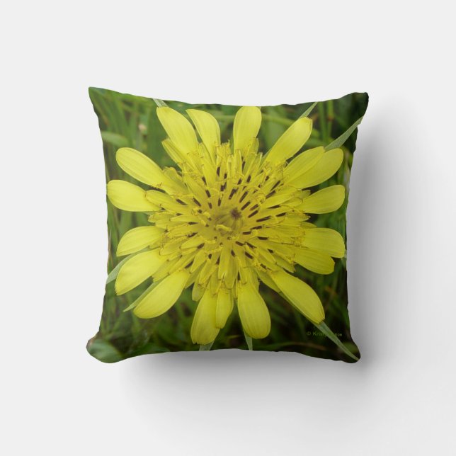 F9 Yellow Wildflower Goats-beard Cushion (Front)