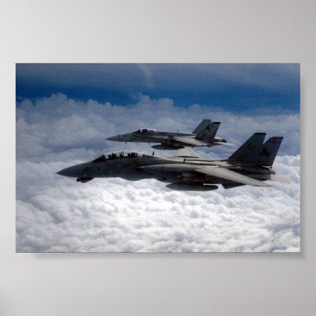 F-14 POSTER (Front)
