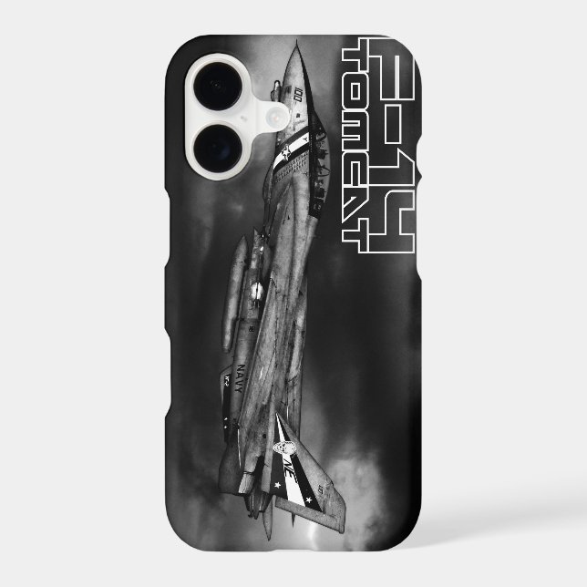 F-14 Tomcat (Back)