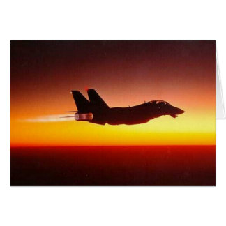 F-14 TOMCAT IN AFTERBURNER