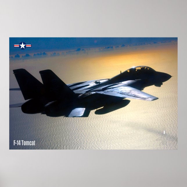 F-14 TOMCAT "ON PATROL" POSTER (Front)