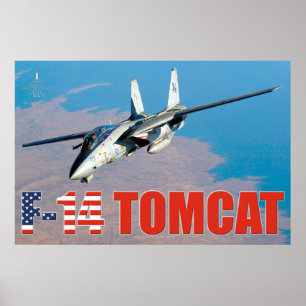 F-14 TOMCAT "ON PATROL" POSTER