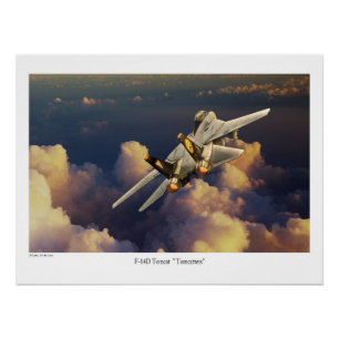 F-14 Tomcat  Poster