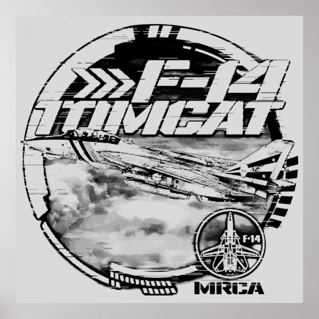 F-14 Tomcat Poster (Front)