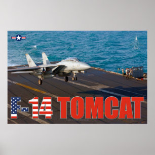 F-14 TOMCAT "TRAP" POSTER