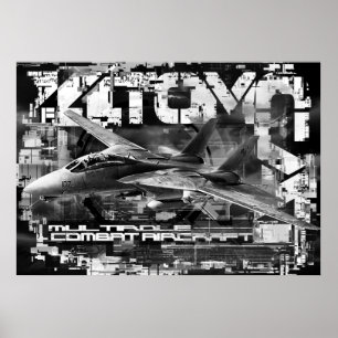 F-14 Tomcat Value Poster Paper (Matte) Poster